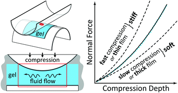 Graphical abstract: Poroelasticity of highly confined hydrogel films measured with a surface forces apparatus