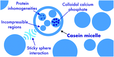 Graphical abstract: Casein micelles in milk as sticky spheres