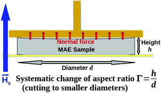 Graphical abstract: Magnetic-field-induced stress in confined magnetoactive elastomers