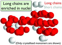 Graphical abstract: Direct observation of long chain enrichment in flow-induced nuclei from molecular dynamics simulations of bimodal blends