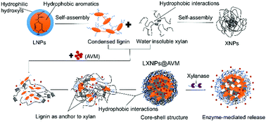 Graphical abstract: Fabrication and characterization of lignin–xylan hybrid nanospheres as pesticide carriers with enzyme-mediated release property