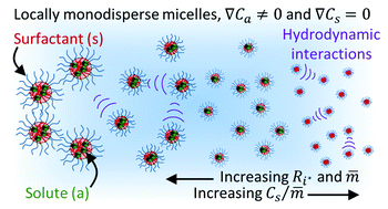 Graphical abstract: Multicomponent diffusion of interacting, nonionic micelles with hydrophobic solutes