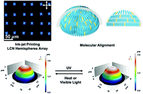 Graphical abstract: Light-deformable dynamic surface fabricated by ink-jet printing