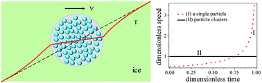 Graphical abstract: Thermal regelation of single particles and particle clusters in ice