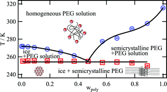 Graphical abstract: X-ray scattering study on the crystalline and semi-crystalline structure of water/PEG mixtures in their eutectic phase diagram