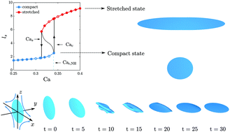 Graphical abstract: Coil–stretch-like transition of elastic sheets in extensional flows