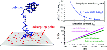 Graphical abstract: Simulation study on the critical adsorption and diffusion of polymer chains on heterogeneous surfaces with random adsorption sites