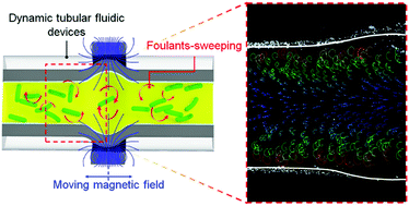 Graphical abstract: Biofouling-resistant tubular fluidic devices with magneto-responsive dynamic walls