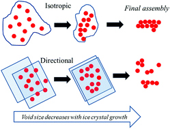 Graphical abstract: Colloidal assembly by directional ice templating