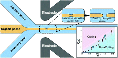 Graphical abstract: Critical conditions for organic thread cutting under electric fields