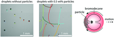 Graphical abstract: Interfacially-adsorbed particles enhance the self-propulsion of oil droplets in aqueous surfactant