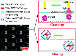 Graphical abstract: Light-driven untethered soft actuators based on biomimetic microstructure arrays