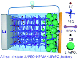 Graphical abstract: Organic polymeric filler-amorphized poly(ethylene oxide) electrolyte enables all-solid-state lithium–metal batteries operating at 35 °C