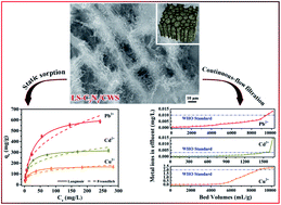 Graphical abstract: Lignosulfonate functionalized g-C3N4/carbonized wood sponge for highly efficient heavy metal ion scavenging