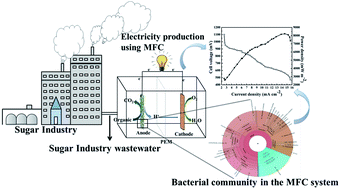 Graphical abstract: Sustainable electric power generation from live anaerobic digestion of sugar industry effluents using microbial fuel cells