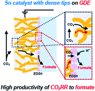 Graphical abstract: Electrochemically deposited Sn catalysts with dense tips on a gas diffusion electrode for electrochemical CO2 reduction