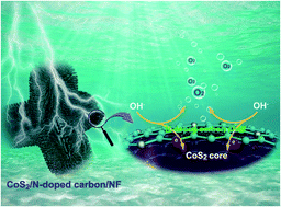Graphical abstract: CoS2@N-doped carbon core–shell nanorod array grown on Ni foam for enhanced electrocatalytic water oxidation