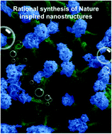 Graphical abstract: “Nano-garden cultivation” for electrocatalysis: controlled synthesis of Nature-inspired hierarchical nanostructures