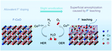 Graphical abstract: Aliovalent fluorine doping and anodization-induced amorphization enable bifunctional catalysts for efficient water splitting