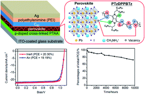 Graphical abstract: Enhanced stability and performance of air-processed perovskite solar cells via defect passivation with a thiazole-bridged diketopyrrolopyrrole-based π-conjugated polymer