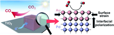 Graphical abstract: Synergism of surface strain and interfacial polarization on Pd@Au core–shell cocatalysts for highly efficient photocatalytic CO2 reduction over TiO2