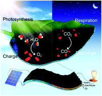 Graphical abstract: A photovoltaic-driven solid-state Zn–CO2 electrochemical cell system with sunlight-insusceptible chemical production
