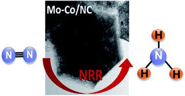 Graphical abstract: Bimetallic Mo–Co nanoparticles anchored on nitrogen-doped carbon for enhanced electrochemical nitrogen fixation
