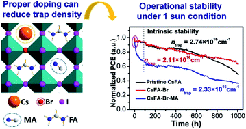 Graphical abstract: Revealing the compositional effect on the intrinsic long-term stability of perovskite solar cells