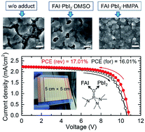 Graphical abstract: 17% efficient perovskite solar mini-module via hexamethylphosphoramide (HMPA)-adduct-based large-area D-bar coating