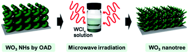 Graphical abstract: Microwave-assisted evolution of WO3 and WS2/WO3 hierarchical nanotrees