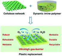 Graphical abstract: Robust, high-barrier, and fully recyclable cellulose-based plastic replacement enabled by a dynamic imine polymer