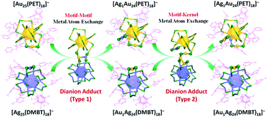 Graphical abstract: On the mechanism of inter-cluster alloying reactions: two-stage metal exchange of [Au25(PET)18]− and [Ag25(DMBT)18]− clusters