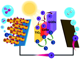 Graphical abstract: Incorporating graphene quantum dots to enhance the photoactivity of CdSe-sensitized TiO2 nanorods for solar hydrogen production