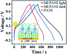 Graphical abstract: Oriented bacteriorhodopsin/polyaniline hybrid bio-nanofilms as photo-assisted electrodes for high performance supercapacitors