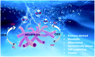 Graphical abstract: A bimetallic alloy anchored on biomass-derived porous N-doped carbon fibers as a self-supporting bifunctional oxygen electrocatalyst for flexible Zn–air batteries