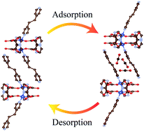 Graphical abstract: Lattice expansion and ligand twist during CO2 adsorption in flexible Cu bipyridine metal–organic frameworks
