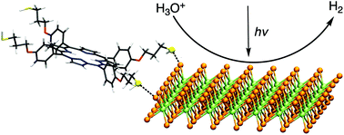 Graphical abstract: Tuning on and off chemical- and photo-activity of exfoliated MoSe2 nanosheets through morphologically selective “soft” covalent functionalization with porphyrins