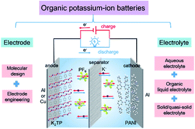 Graphical abstract: Emerging organic potassium-ion batteries: electrodes and electrolytes