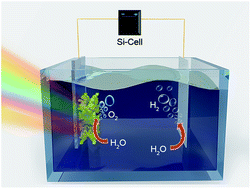 Graphical abstract: An in situ combustion method for scale-up fabrication of BiVO4 photoanodes with enhanced long-term photostability for unassisted solar water splitting