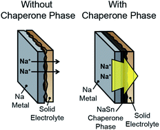 Graphical abstract: Tin-based ionic chaperone phases to improve low temperature molten sodium–NaSICON interfaces