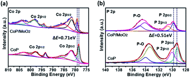 Graphical abstract: In situ coupling of CoP with MoO2 for enhanced hydrogen evolution