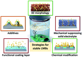 Graphical abstract: Revisiting the strategies for stabilizing lithium metal anodes
