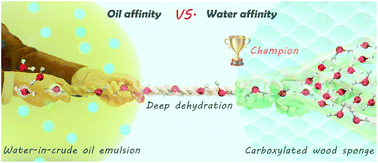 Graphical abstract: Carboxylated wood-based sponges with underoil superhydrophilicity for deep dehydration of crude oil