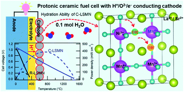 Graphical abstract: Mixed proton–electron–oxide ion triple conducting manganite as an efficient cobalt-free cathode for protonic ceramic fuel cells
