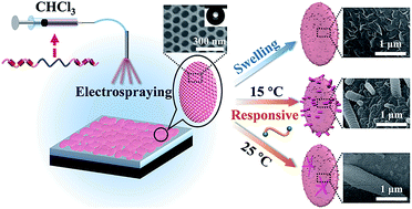 Graphical abstract: Pillararene-based supramolecular membranes with the rose-petal effect and nanostructure-modulated tunable water adhesion