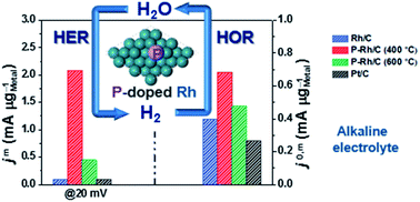 Graphical abstract: Ultrafine phosphorus-doped rhodium for enhanced hydrogen electrocatalysis in alkaline electrolytes