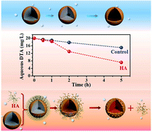 Graphical abstract: Coexistence of humic acid enhances the reductive removal of diatrizoate via depassivating zero-valent iron under aerobic conditions