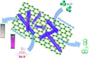 Graphical abstract: rGO wrapped trimetallic sulfide nanowires as an efficient bifunctional catalyst for electrocatalytic oxygen evolution and photocatalytic organic degradation