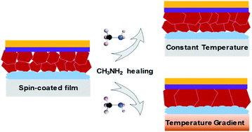 Graphical abstract: A temperature gradient-induced directional growth of a perovskite film