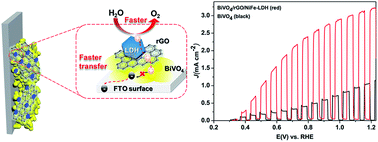 Graphical abstract: Identifying dual functions of rGO in a BiVO4/rGO/NiFe-layered double hydroxide photoanode for efficient photoelectrochemical water splitting